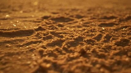 Wall Mural - Close-Up of Sun-Baked Sand Forming Intricate Patterns on the Ground Sun-Baked Sand, geology, deserttexture
