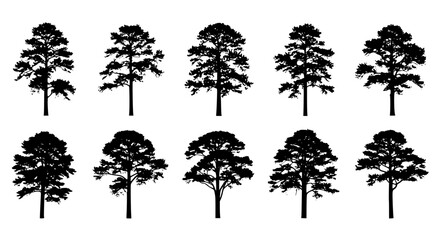 Vector art of a collection of ten tree silhouettes, each displaying a unique shape and branch structure, showcasing the diversity of tree forms in nature