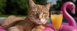 © Jiraporn - Cool cat lounging on pool float with drink concept. Playful cat lounging with a vibrant drink by the pool.