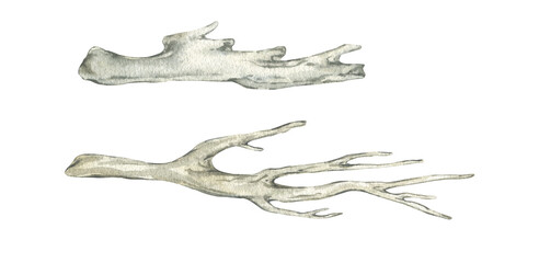 Watercolor set of branches and driftwood. Log and driftwood, hand-drawn illustrations isolated on a white background. Marine theme, dry tree branches.