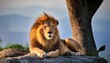 © Karina - a lion is laying on a rock next to a tree