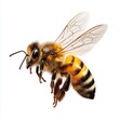 © PeterSailore - Bee in flight isolated on white background cut out png