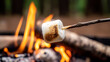 © Eva Corbella - Perfectly toasted marshmallow over fire at campsite under evening sky