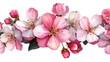 © saputri - A horizontal arrangement of blossoming pink and white flowers, detailed and vivid, showcasing spring blossoms.