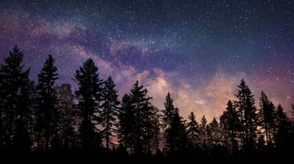 Wall Mural - A beautiful view of the night sky showcasing countless stars and the Milky Way above a peaceful forest. The scene captures the calmness of dusk highlighting tree silhouettes.