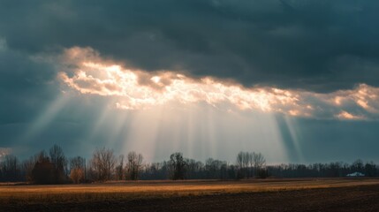 Wall Mural - Sunlight breaks through dense clouds creating a stunning display of rays over a peaceful landscape. Trees stand silhouetted against the dramatic sky during sunset enhancing the scenes tranquility.