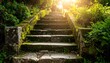 © Pipitcs32 - Moss-covered stone steps leading upward