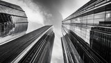 a sleek black and white photograph capturing the glass surface of towering skyscrapers in a district full of business centers