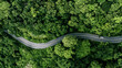 © Hand Robot - Forest road ,Top view of road in the middle of the forest curve construction up to mountain, panoramic view of Rainforest ecosystem elevated road that surrounds natural forest.