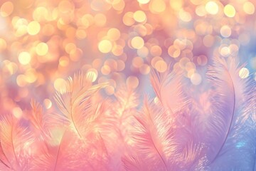 Wall Mural - Feather pattern bokeh effect background backgrounds outdoors glitter.