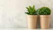 © Arfa_Media - Two potted green houseplants provide a fresh, natural accent to a minimalist home interior with ample copy space
