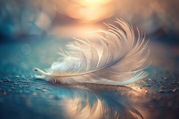 Wall Mural - A Single Delicate Feather Resting on a Smooth Surface, Illuminated by the Warm Glow of a Setting Sun, Its Reflection Mirrored in the Still Water Below