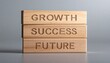 © Benxiumo - Wooden blocks displaying the words growth success and future symbolizing business progress and opportunity