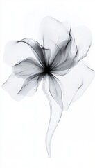 Canvas Print - Ethereal White Flower Emerging from Shadows, Softly Illuminated, Aesthetic Beauty and Grace