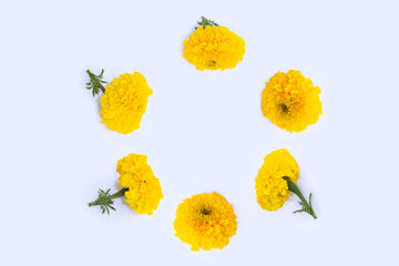 Wall Mural - Round frame of autumn marigold flowers on a light background. Natural pattern.