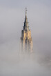 Torre gótica de la Catedral de Toledo entre niebla (Catedral de Toledo)