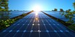 © elisa - Solar panels with growing plants, bathed in sunlight against a clear blue sky, representing renewable energy