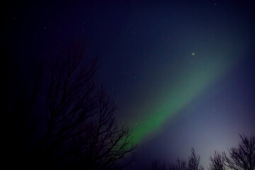 Wall Mural - Aurora borealis, polar lights with Milky Way stars.