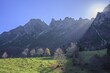 © Christian Handl/imageBROKER - Sunbeam illuminates trees and meadow along the path of the big trees in the Piccolo Dolomiti, Recoaro Terme, Province of Vicenza, Italy