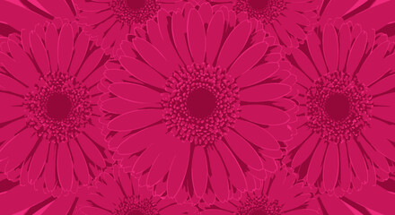 Magenta floral bloom pattern