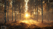 © vishnu - Mystical Forest Terrain with Mixed Trees, Dense foliage, and Towering Trunks on Natural Background