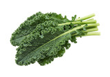 Fresh green kale leaves isolated, healthy leafy vegetable for salads and cooking on a transparent background PNG
