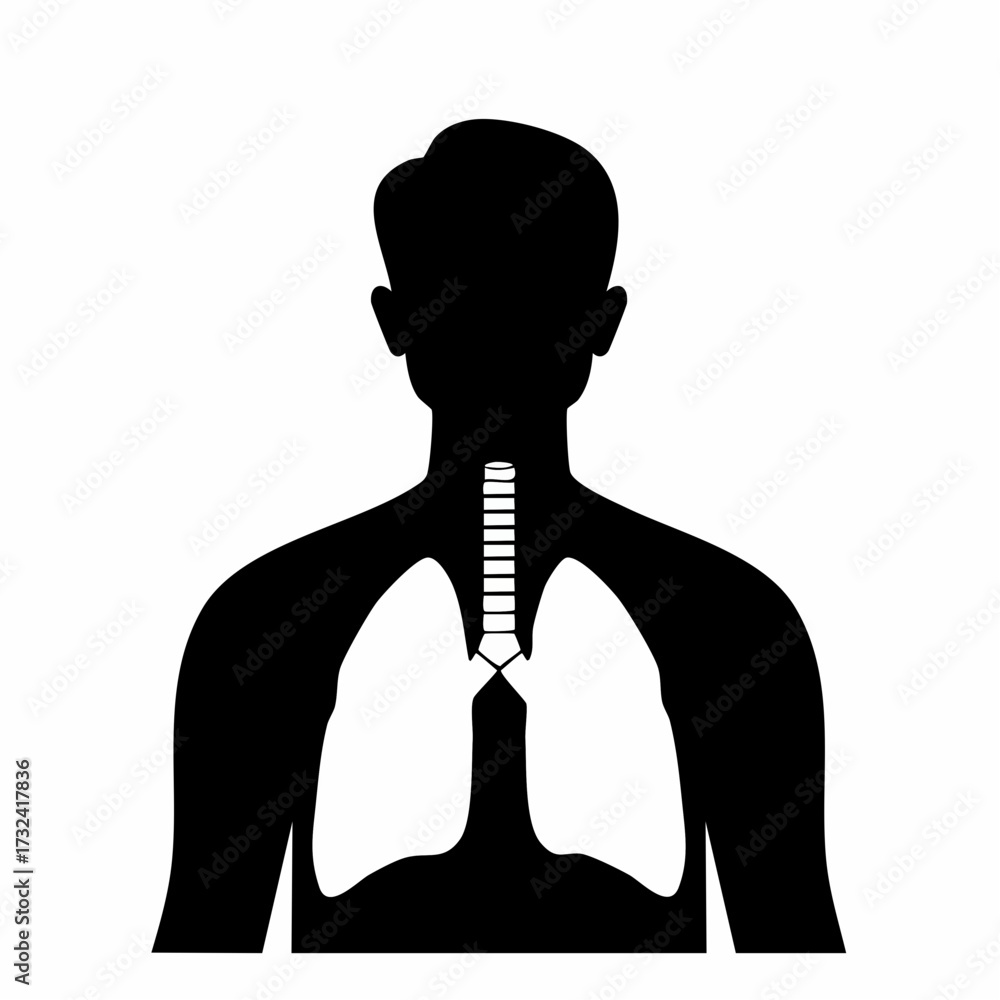 human-upper-body-silhouette-highlighting-internal-respiratory-system