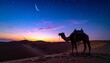 © Tumi - Camel silhouette in desert at sunrise