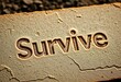 © Aonan - Rough, textured card with 'Survive' etched deeply into its surface,  broken,  struggle