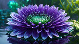 Vibrant purple chrysanthemum with water droplets