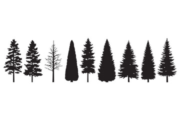 silhouettes of various coniferous trees, including pine and fir, isolated on transparent background 