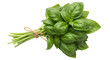 © Laura - Fresh basil bunch isolated on transparent background, aromatic herb for Italian cuisine and culinary use
