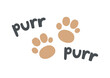 © Ирина Яшкирева - Purr purr lettering with paw prints. Cute cartoon cat typography design. Funny text vector illustration for cards, posters, stickers, t-shirts, and pet themed decoration.