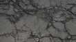 © Bruno - Cracked Asphalt's Textured Surface: A close-up view reveals the intricate textures of a cracked asphalt surface, its dark tones and irregular patterns evoke a sense of age and the passage of time.