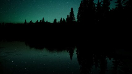 Wall Mural - Time lapse of night sky stars reflecting in a pond with a background of spruce and pine trees in silhouette. 
