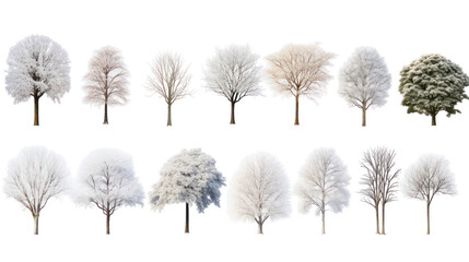 Collection of diverse trees and plants isolated on transparent background