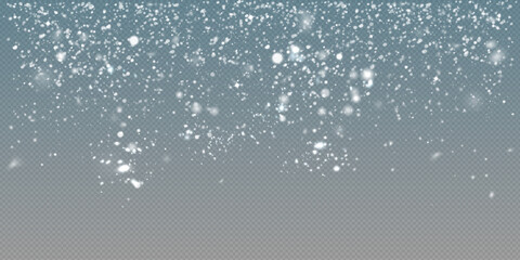 Wall Mural - Christmas snowflakes on a transparent background. Snow flakes, snow background. Heavy snowfall, snowflakes in different shapes and forms.