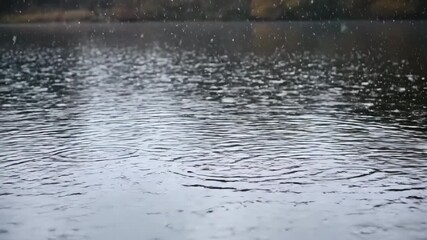 Wall Mural - Thousands of tiny hail pellets continuously fall onto a calm, dark lake surface, creating mesmerizing ripple patterns under soft, diffused light splashes, elegant, dark lake