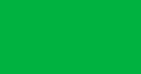 Canvas Print - Animation of blue and green flickering rays over transparent background