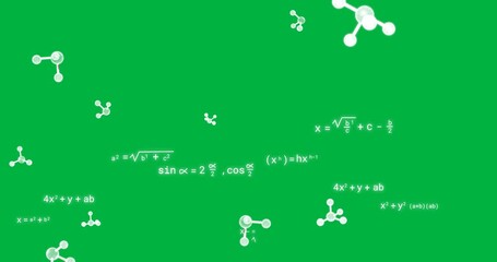 Wall Mural - Animation of digital molecules over mathematical equations on transparent background