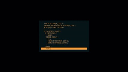 Dynamic Animation of Computer Programming Code Running on a Hacker's Terminal Screen