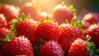 © CHOISH - 이슬 맺힌 신선한 딸기 Fresh Strawberries with Dew