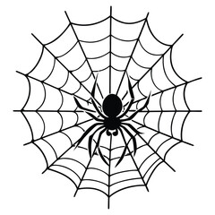 Spider Hanging From a Delicate Web Spiral