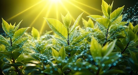 Lush green plants in bright sunlight with a digital network web overlaid. Concept of smart agriculture, data connection, and precision farming for crop monitoring and optimization