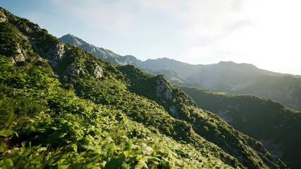 Wall Mural - gentle slow pan across lush green mountain slopes bathed in soft, diffused morning light thriving, n