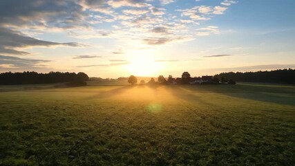 Wall Mural - Gentle rural landscape comes to life under the soft glow of a peaceful dawn, as mist clears and fields are illuminated in a serene timelapse outdoors, pastoral, establishing shot