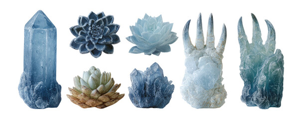 Beautiful Collection of Isolated Crystals and Succulents in Cool Tones