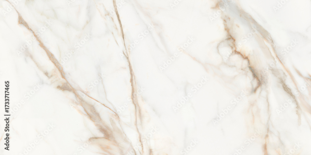 Scanned texture of Calacatta marble texture. Background for ceramic ...