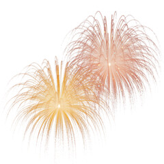 Two golden and rose fireworks exploding sparks