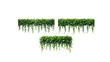 © Late - Hanging Greenery on transparent background